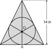 <strong>Find the circumference of a circle inscribed in an equilateral triangle if the height of the triangle is 14 in. </strong> A)21.99 in. B)87.96 in. C)29.32 in. D)43.98 in.