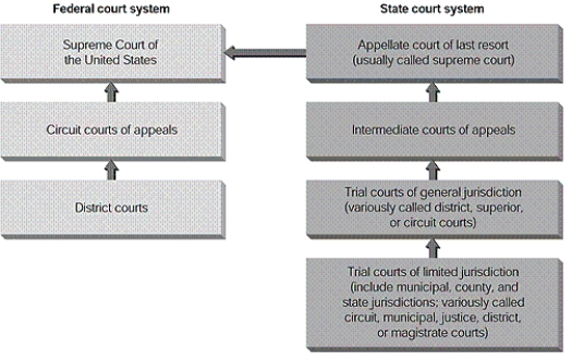 <strong>According to the diagram,which two courts can appeal directly to the Supreme Court of the United States? </strong> A)District courts and courts of limited jurisdiction B)Circuit courts of appeals and trial courts of general jurisdiction C)Circuit courts of appeals and appellate courts of last resort D)Intermediate courts of appeals and district courts