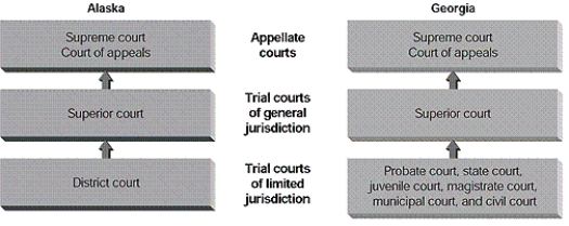 <strong>According to the figure,why is Georgia considered to have an unreformed court structure? </strong> A)It has neither reduced the number of courts nor standardized their names. B)It has fewer trial courts of limited jurisdiction than Alaska. C)It uses a nonstandard name for the appellate courts. D)It uses a nonstandard name for the trial courts of general jurisdiction.