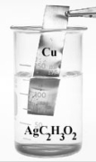 <strong>Write the net ionic equation for the reaction between copper and AgC<sub>2</sub>H<sub>3</sub>O<sub>2</sub>.The apparatus for the reaction is shown below. Regard all salts containing acetate ion as soluble in water.Copper is above silver in the activity series.What will appear on the product side of the balanced net ionic equation?</strong> A)Cu(s)+ 2 Ag<sup>+</sup>(aq) B)Cu<sup>2+</sup>(aq)+ 2 Ag(s) C)C<sub>2</sub>H<sub>3</sub>O<sub>2</sub><sup>-</sup>(aq)+ Ag<sup>+</sup>(aq) D)Cu(aq)+ 2 Ag<sup>+</sup>(s) E)2 Cu(s)+ AgC<sub>2</sub>H<sub>3</sub>O<sub>2</sub>(aq)