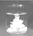 <strong>What are the spectator ions in the reaction between HCl and AgNO<sub>3</sub> in dilute aqueous solution? The reaction is shown below. Given that AgCl is insoluble in water and that AgNO<sub>3</sub> is soluble,</strong> A)Ag<sup>+</sup>(aq)+ Cl<sup>-</sup>(aq) B)Cl<sup>-</sup>(aq)+ NO<sub>3</sub><sup>-</sup>(aq) C)NO<sub>3</sub><sup>-</sup>(aq)+ H<sup>+</sup>(aq) D)Ag<sup>+</sup>(aq)+ H<sup>+</sup>(aq) E)There are no spectator ions in this reaction