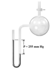 <strong>Consider the open-end manometer shown below. When the pressure of the atmosphere is 754 mmHg,what is the pressure of the gas sample?</strong> A)225 mm Hg B)754 mm Hg C)499 mm Hg D)1009 mm Hg