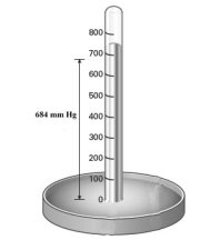 <strong>Consider the mercury barometer shown below. What is the equivalent of pressure reading in torr?</strong> A)684 torr B)0.900 torr C)6.75 torr D)46.6 torr E)1444 torr