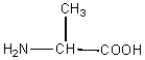 <strong>Consider the following amino acid structures: Glycine alanine serine Identify the C-terminal acid and the N-terminal acid in the following dipeptide: C-terminal acid N-terminal acid</strong> A)glycine alanine B)glycine serine C)alanine serine D)alanine glycine E)serine glycine