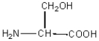 <strong>Consider the following amino acid structures: Glycine alanine serine Identify the C-terminal acid and the N-terminal acid in the following dipeptide: C-terminal acid N-terminal acid</strong> A)glycine alanine B)glycine serine C)alanine serine D)alanine glycine E)serine glycine