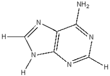 <strong>What molecular structure is shown below? </strong> A)Thymine B)Adenine C)Cytosine D)Uracil E)Guanine