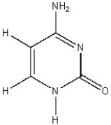 <strong>What molecular structure is shown below? </strong> A)Thymine B)Adenine C)Cytosine D)Uracil E)Guanine