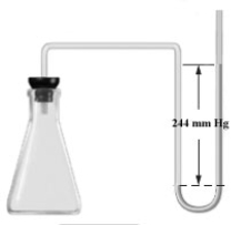 <strong>Consider the open-ended manometer shown below.In this apparatus the the arm on the right it open to the atmosphere and feels the full effect of atmospheric pressure.The pressure in the chemistry lab at the time of this experiment is 755 mm Hg.The flask contains O<sub>2</sub>,N<sub>2</sub> and Ne. Which of the following correctly applies to this apparatus?</strong> A) B) C) D) E)none of the above