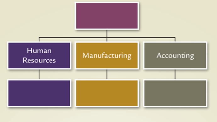 <strong>Which structure is illustrated in this diagram? </strong> A)Vertical B)Divisional C)Team D)Matrix E)Virtual
