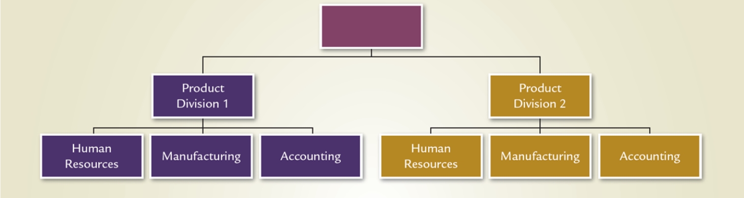 <strong>Which structure is illustrated in this diagram? </strong> A)Vertical B)Divisional C)Team D)Matrix E)Virtual