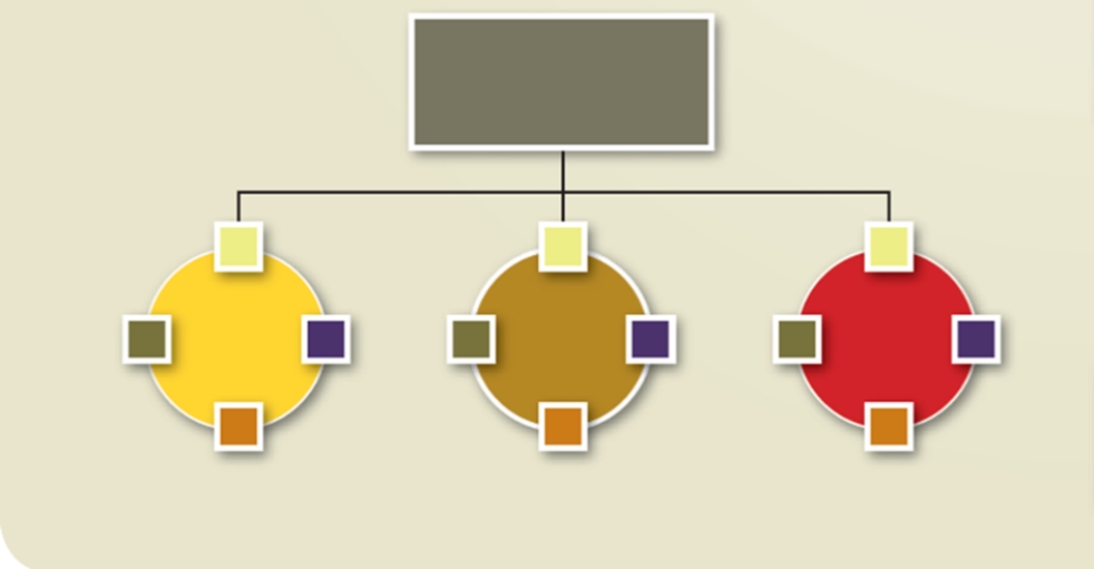 <strong>Which structure is illustrated in this diagram? </strong> A)Vertical B)Divisional C)Team D)Matrix E)Virtual