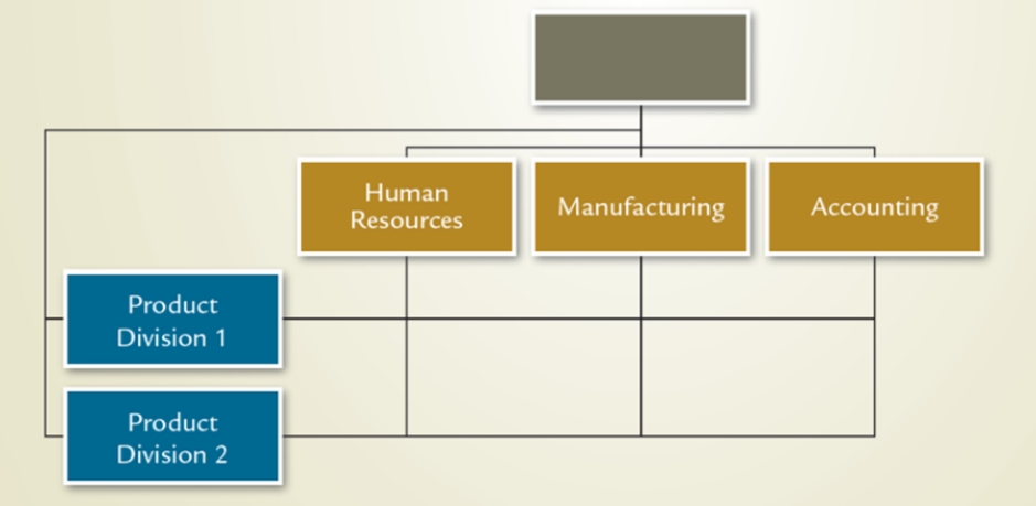 <strong>Which structure is illustrated in this diagram? </strong> A)Vertical B)Divisional C)Team D)Matrix E)Virtual