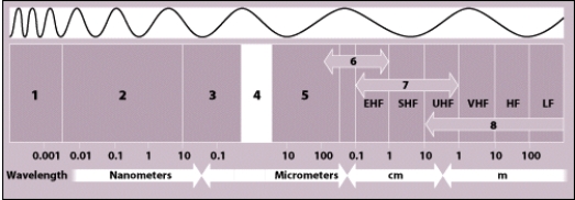 <strong>Which of the numbered sections on this figure corresponds with the microwave portion of the electromagnetic spectrum? </strong> A)5 B)6 C)7 D)8