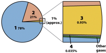 <strong>In the pie chart below, the proportion of nitrogen in the atmosphere is labeled: </strong> A)1 B)2 C)3 D)4