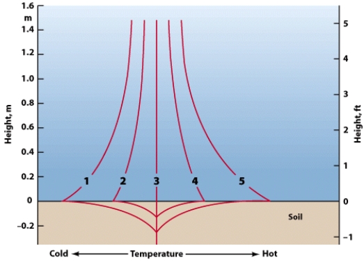 <strong>Which of the temperature profiles on this figure most closely resembles the situation you would expect around 3:00 p.m.?  </strong> A)2 B)3 C)4 D)5 <div style=padding-top: 35px> 