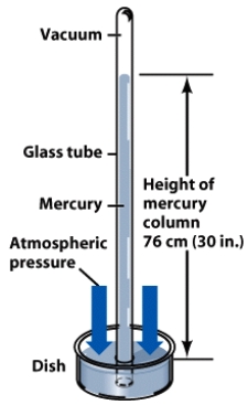 <strong>The device shown in this figure is used to measure: </strong> A)air pressure B)air temperate C)humidity D)solar radiation