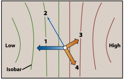 <strong>The direction of the Coriolis effect on this figure is labeled: </strong> A)1 B)2 C)3 D)4