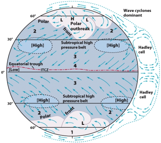 <strong>The surface wind system known as the trade winds is labeled: </strong> A)1 B)2 C)3 D)4