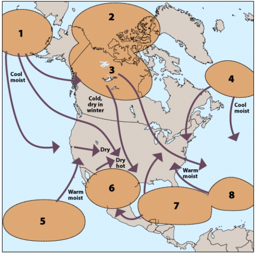 <strong>The air mass found in the area labeled 8 would be designated:  </strong> A)mT B)mE C)cT D)cE <div style=padding-top: 35px> 