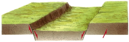 <strong>In the figure below, which structure is bound by normal faults, resulting in a down-dropping block of rock? What is the down-dropped block between two normal faults? </strong> A)horst B)graben C)fault plane D)tension plane E)none of the above