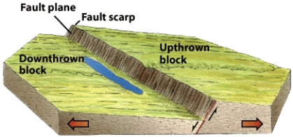 The diagram below shows the formation of a __________ fault.
