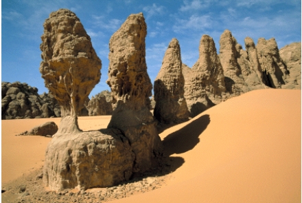 <strong>Sandstone pillars such as the ones in the figure below are features that can be found in the southwestern US, but are unusual in the southeastern US. Which of the following explanations best account for this?  </strong> A)There is no sedimentary rock in the southeastern US B)Climatic differences dictate the form and nature of landforms C)Buttes in the southeastern US have been cleared for human development D)Natural forces of landscape change are different E)none of these <div style=padding-top: 35px> 