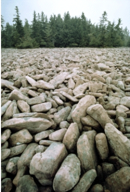 The large boulders in the figure below are an example of mechanical weathering.  <div style=padding-top: 35px> 