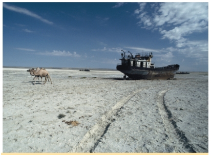 Use the image below to describe the types of environmental changes that appear to be occurring in this region of the Aral Sea. Use what you have learned in this chapter to strengthen your points.