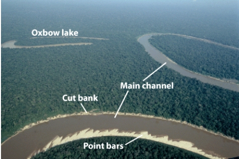 <strong>The figure below illustrates a __________ stream, which has a low-gradient and sand bars along the banks. </strong> A)meandering B)braided C)anastomosing D)straight E)oxbow lake