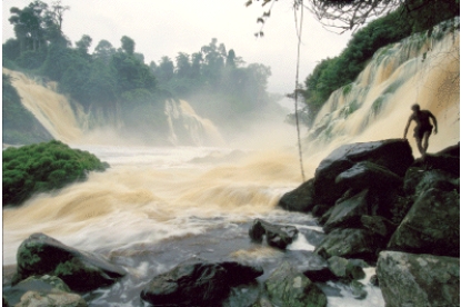 <strong>The figure below shows a stream with a high __________. </strong> A)bed load B)suspended load C)saltated load D)floodplain E)levee