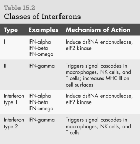 <strong>According to the table below,which type of interferons would induce an increase in MHC expression from host cells? </strong> A) Type 1 B) Type 2 C) Both D) None