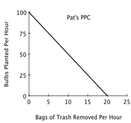 <strong>Refer to the accompanying figure. For Pat, the opportunity cost of removing one bag of trash is planting: </strong> A)100 bulbs. B)5 bulbs. C)1/100 of a bulb. D)1/5 of a bulb.