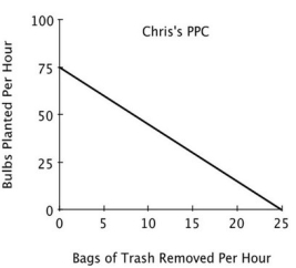 <strong>Refer to the accompanying figure. For Pat, the opportunity cost of removing one bag of trash is planting: </strong> A)100 bulbs. B)5 bulbs. C)1/100 of a bulb. D)1/5 of a bulb.