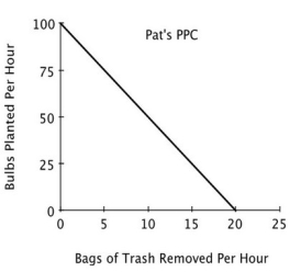 <strong>Refer to the accompanying figure. If Pat and Chris were to specialize in the task in which each has a comparative advantage: </strong> A)Chris would plant bulbs and Pat would remove trash. B)Chris would remove trash and Pat would plant bulbs. C)Pat and Chris would each spend half of their time each task. D)both Pat and Chris would plant bulbs because they both have an absolute advantage in that task.