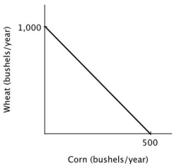 Refer to the accompanying figure. It is efficient for this farmer to: