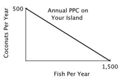You are the Minister of Trade for a small island country with the following annual PPC:   You are negotiating a trade agreement with a neighboring island with the following annual PPC:     As soon as you see the other island's PPC, you realize there are: