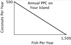 You are the Minister of Trade for a small island country with the following annual PPC: You are negotiating a trade agreement with a neighboring island with the following annual PPC: If the other island's delegate offers to give you 2 fish for every 1 coconut you give them, you will: