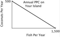 You are the Minister of Trade for a small island country with the following annual PPC: You are negotiating a trade agreement with a neighboring island with the following annual PPC: If you offer to give the other island 1 coconut for every 4 fish they give you, then they will: