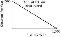 You are the Minister of Trade for a small island country with the following annual PPC: You are negotiating a trade agreement with a neighboring island with the following annual PPC: Both islands specialize exclusively in the product for which they have a comparative advantage. You have agreed to give 350 coconuts to the other island in exchange for 1,300 fish. After the trade the other island has a total of ________ coconuts and ________ fish.