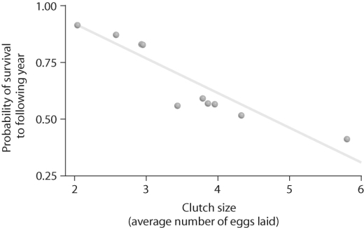 <strong> Figure 51.2 Looking at the data in the figure above, what can be said about survival and clutch size?</strong> A) Animals with low survival tend to have low clutch sizes. B) Animals with high fecundity tend not to live as long as animals with low fecundity. C) Animals with high fecundity tend to live longer. D) High clutch sizes tend to produce animals with low survival.