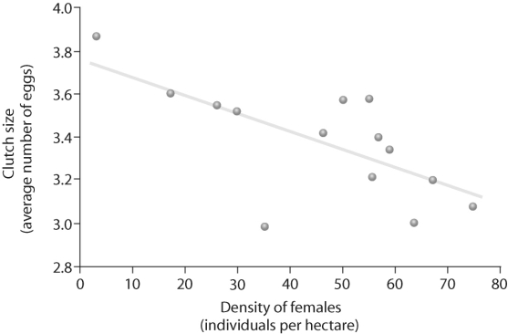 <strong> Figure 51.6 Based on the figure above, which of the following statements correctly interprets the data?</strong> A) Clutch size is affected by female density. B) Survivorship is affected by female density. C) Female density is affected by clutch size.