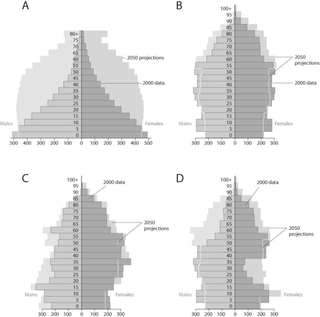 <strong> Figure 51.10 -Projections for Earth's human population by 2050 that were made in 1992 were much higher than those made in 2002. Which of the following did NOT likely contribute to this change in projection?</strong> A) Deaths from AIDS have significantly increased since 1992. B) Human fertility rates in developing countries have significantly decreased since 1992. C) The number of developed countries has significantly increased since 1992. D) The birth rates in developed countries have decreased since 1992.