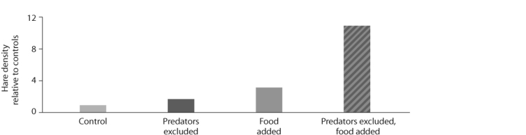 <strong> Figure 51.13 -Looking at the data in the figure above from the hare/lynx experiment, what conclusion can you draw?</strong> A) Hares control lynx population size. B) Lynx and hare populations are independent of each other. C) Lynx control hare population size. D) Hare populations are limited by both predation and food availability.
