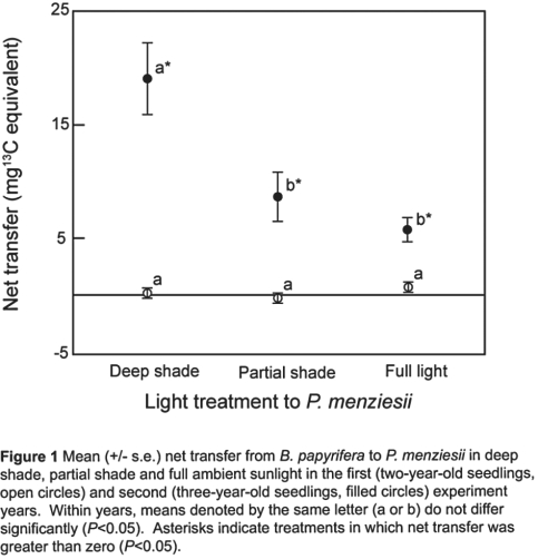 <strong>  Figure 29.3 Referring to Figure 29.3 Simard et al., 1997- third- year seedlings only), shown above, was there a net transfer of carbon from plants in sunlight to plants in shade?</strong> A) yes B) no <div style=padding-top: 35px> 