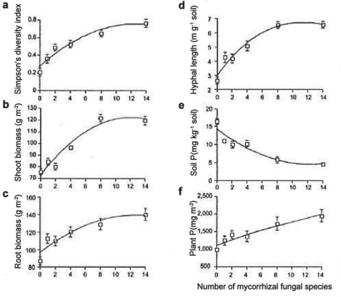Use the following information when answering the corresponding questions). The researchers then wanted to know if plant biodiversity and productivity would increase in a natural system as a result of i AMF diversity beyond just four species. Consider Figure 29.6 below Figure 2 from van der Heijden et al. 1998):   Figure 29.6 If the number of mycorrhizal fungal species increases to 20, the amount of P in the soil will likely decline to zero Figure 29.6). True or false?<div style=padding-top: 35px> 