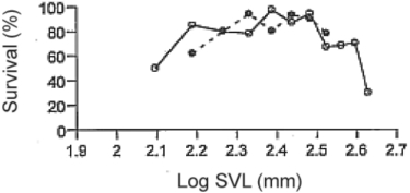 <strong>Use the following information when answering the corresponding questions). Martin Wikelski and L. Michael Romero Body size, performance and fitness in Galápagos marine iguanas, Integrative and Comparative Biology 43 [2003]:376- 86) measured the snout- to- vent anus) length of Galápagos marine iguanas and observed the percent survival of different- sized animals. Figure 23.2 shows the log snout- vent length SVL, a measure of overall body size) plotted against the percent survival of these different size classes for males and females.   Figure 23.2 Examine the figure above. What type of selection for body size appears to be occurring in these marine iguanas?</strong> A) stabilizing selection B) directional selection C) sexual selection D) disruptive selection <div style=padding-top: 35px> 