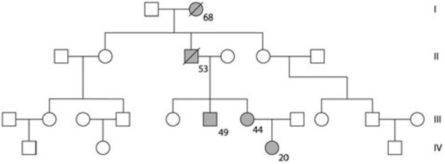 <strong>The figure provided shows the pedigree for a family. Dark- shaded symbols represent individuals with one of the two major types of colon cancer. Numbers under the symbols are the individual's age at the time of diagnosis. Males are represented by squares, females by circles. From this pedigree, this trait seems to be inherited</strong> A) from mothers. B) as an autosomal dominant. C) as an autosomal recessive. D) as a result of epistasis. E) as an incomplete dominant.