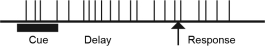 <strong>You conduct a single-cell recording study of a lateral prefrontal cortical cell while an animal performs a delayed-response task. Which of the following response profiles best matches the behavior of the cell if it is primarily involved in working memory function? (Each vertical line represents an action potential.)</strong> A) B) C) D)