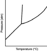 <strong>Consider the phase diagram for a substance shown here.The solid phase is than the liquid phase. </strong> A)more dense B)less dense C)more massive D)less massive E)hotter