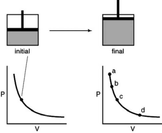 <strong>A gas is contained in the piston assembly and allowed to expand as in the following figure.Which point on the graph shows the correct final pressure and volume? </strong> A)A B)B C)C D)D E)More information is needed.